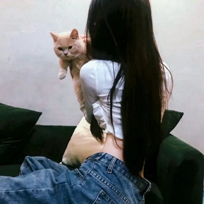 姊妹心粤语 海报